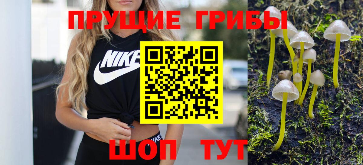Лянтор  Галлюциногенные грибы GOLDEN TEACHER  сколько стоит  Вход с VPN 